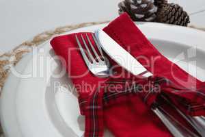 Pine cone with leaf and fork, butter knife, napkin in a plate