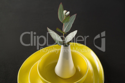 Flower vase kept on porcelain crockery