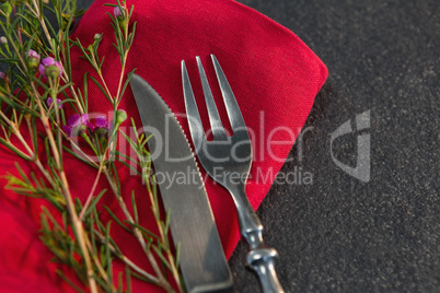 Cutlery and flora on red napkin