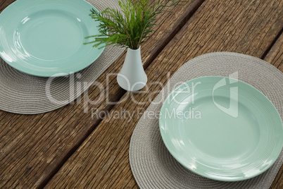 Empty plates with plant on wooden table