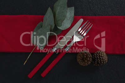 Fork and butter knife with leaf, pine cone and napkin