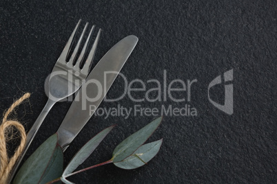 Fork, butter knife with leaf on black background