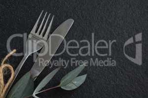 Fork, butter knife with leaf on black background