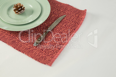 Pine cone on a plate with butter knife