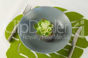 Flower in bowl with fork and butter knife on a table cloth