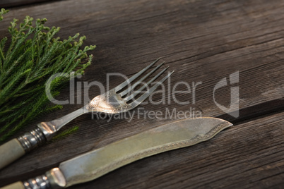 Cutlery and flora on wooden plank
