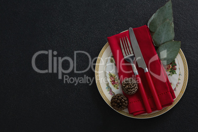 Pine cone with fork, butter knife, napkin and leaf in a plate