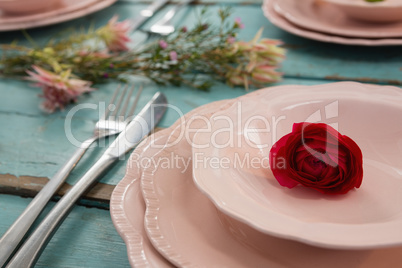 Close-up of red rose in bowl