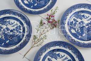 Empty plates and flower on white background