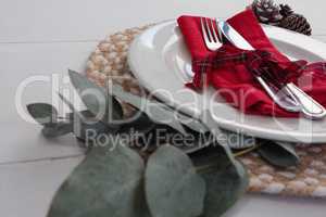 Pine cone with leaf and fork, butter knife, napkin in a plate