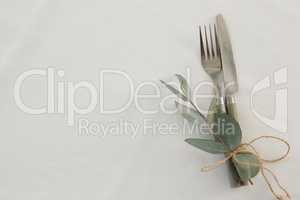 Fork and butter knife tied with leaf