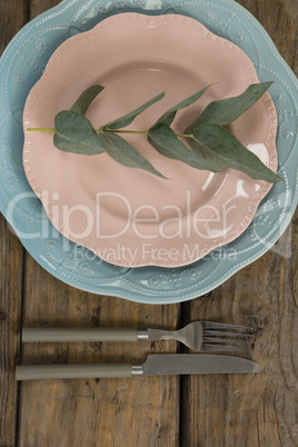 Leaf arranged on plates