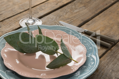 Leaf arranged on plates