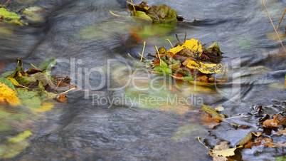 Bachlauf im Herbst