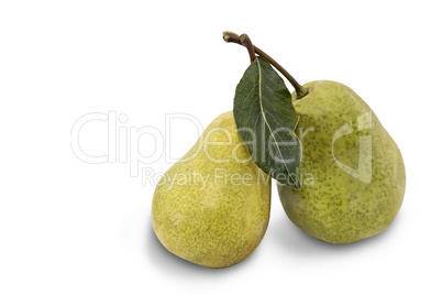 Two ripe pears on white background.