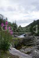 Fluss Rauma, Oppland, Norwegen