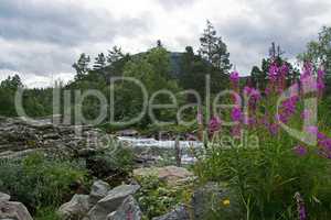 Fluss Rauma, Oppland, Norwegen