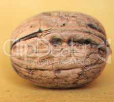 anaglyph 3D image of walnut food