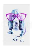 Basset Hound pinke Brille