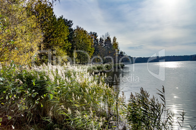 Idyll on the lake