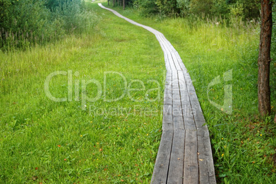 path with boards in the summer in Russia
