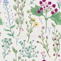 Floral seamless pattern. Flower background. Ornamental garden fl