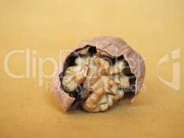 walnut fruit food