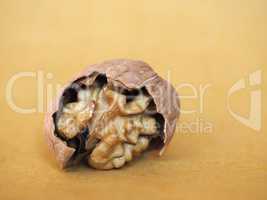 walnut fruit food