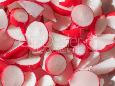 radish vegetables food