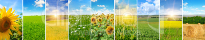 Panoramic view of green field and blue sky with light clouds. Co