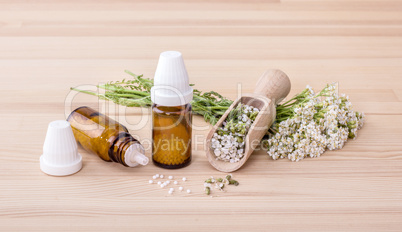 Homeopathic remedy of yarrow