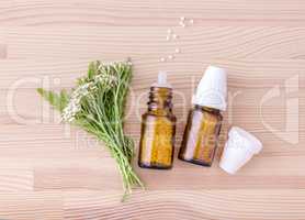Homeopathic medicine of yarrow