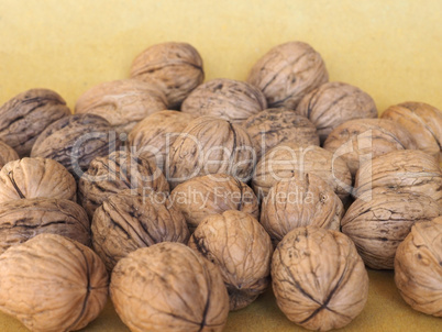 walnut fruit food background