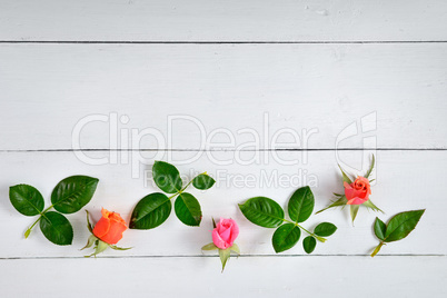 Flowers composition. Red roses on a white wooden background. Fla