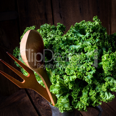 Kale Brassica oleracea