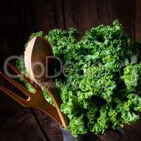 Kale Brassica oleracea