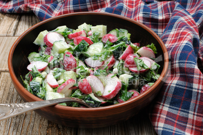 Salad from radish and cucumber