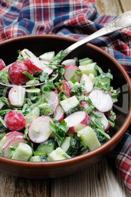 Salad from radish and cucumber