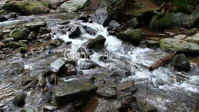 mountainous river in the forest of Carpathian mountains