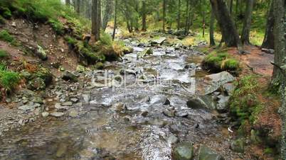 mountainous river in the forest of Carpathian mountains