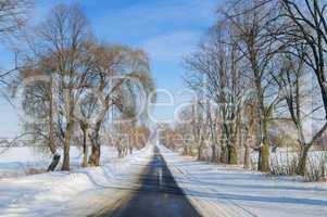 Winter road landscape, snowy fields and trees.