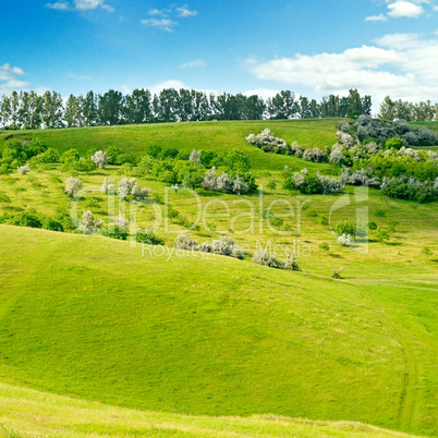 hilly field and blue sky