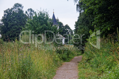 dirt road through forest in summer day