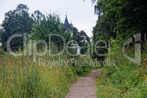 dirt road through forest in summer day