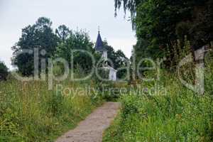 dirt road through forest in summer day