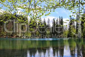 Lake Passy, the green lake, France