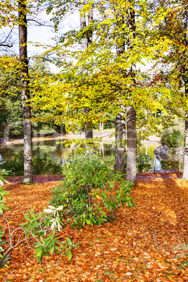 In the autumnal park