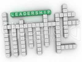 3d Leadership Concept word cloud