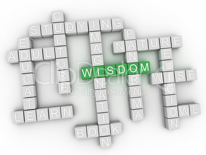3d Wisdom Concept word cloud