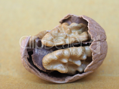 walnut fruit food